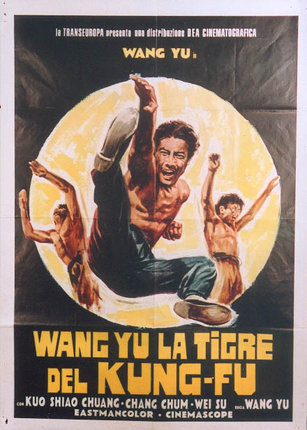 a poster of a man kicking another man