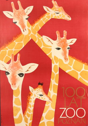 a group of giraffes on a red background
