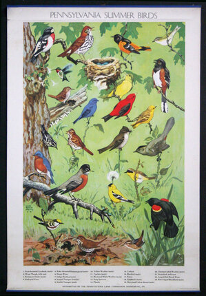 a poster of birds on a tree