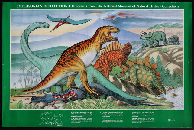 Smithsonian - Dinosaurs Poster 36 x 24