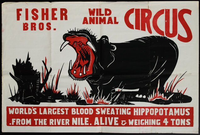 Fisher Bros. Wild Animal Circus - Hippopotamus | Original Vintage