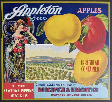 Appleton Brand (Apple Fruit Crate Label) | Original Vintage Poster ...