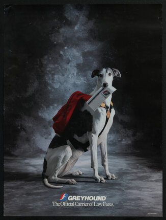 poster with a photograph of greyhound dog wearing a red backpack and carrying a bus ticket in his mouth