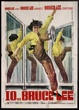 movie poster with a man in front of a 3 way mirror doing a flying kick