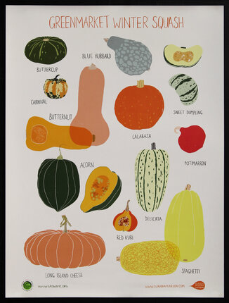 poster with illustrations of various squash