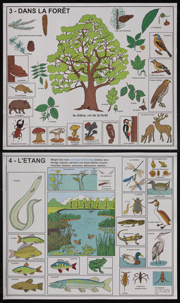 French educational pictorial poster charts with trees, leaves, and forest dwelling animals, and pond dwelling animals 