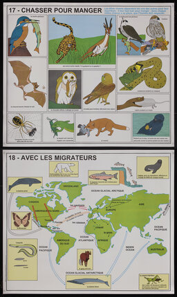 French educational pictorial poster charts with animal predators and an animal migration chart of the world