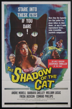 a movie poster with a woman and a cat