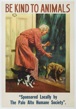 an old man and a dog looking at a rain shower