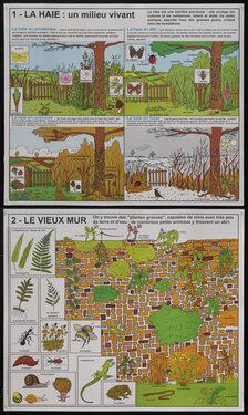 French educational pictorial poster charts with depiction of a fence going through the four seasons, and a brick wall with plants growing on it