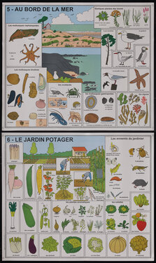 French educational pictorial poster charts with sea creatures and vegetables