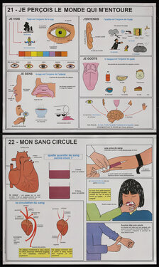 French educational pictorial poster charts with eyes, tongue, heart, and patient