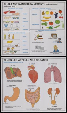 French educational pictorial poster charts with food and human organs