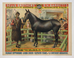 a poster of a circus show with indigenous man with a ring in his nose standing next to a smooth black horse in a pen